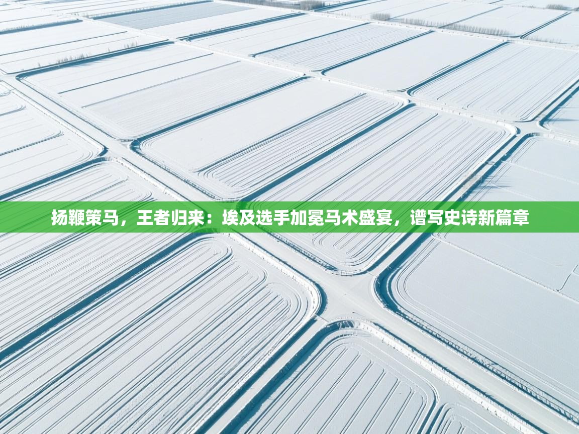 扬鞭策马,王者归来:埃及选手加冕马术盛宴,谱写史诗新篇章 第1张