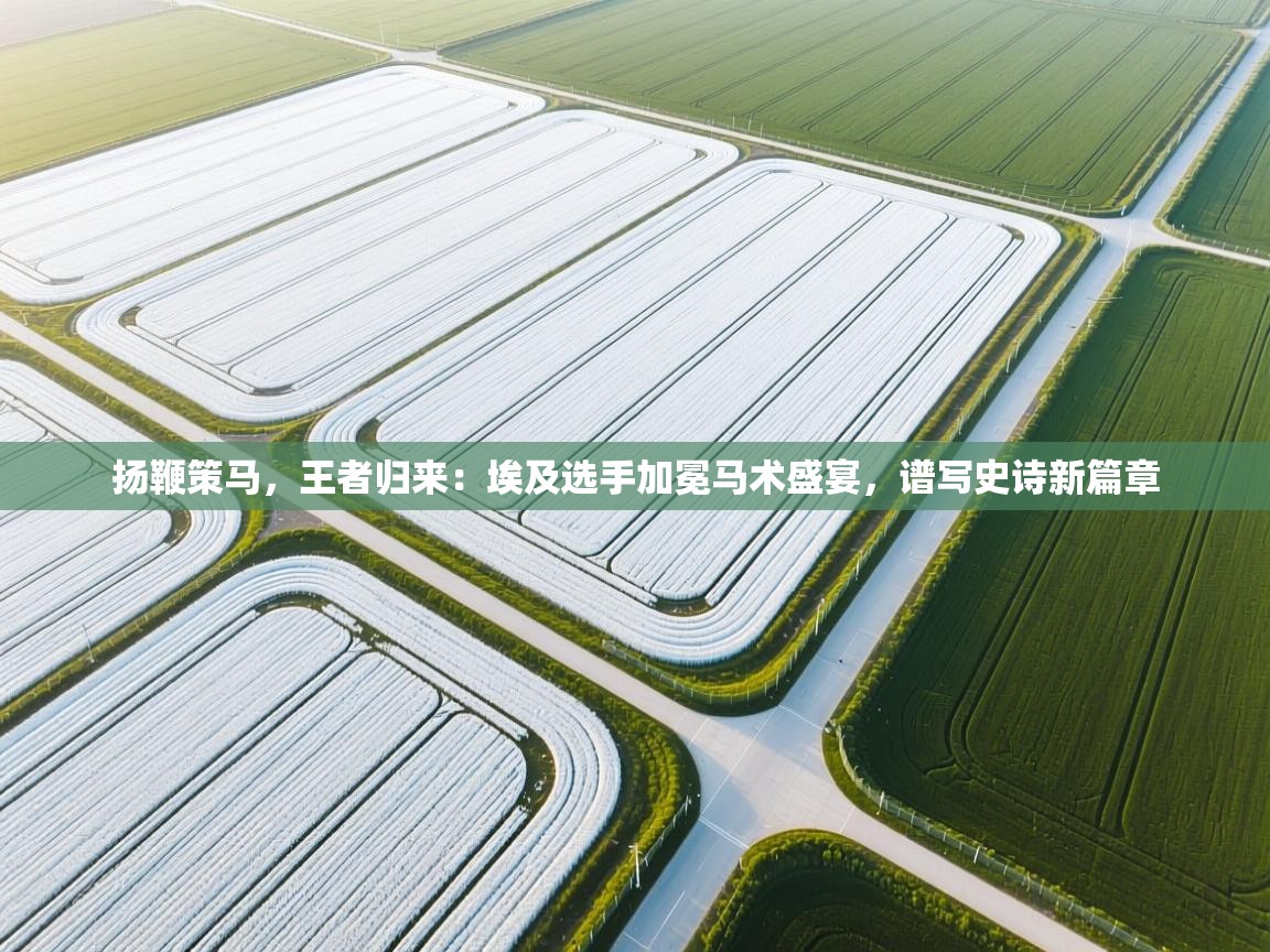 扬鞭策马,王者归来:埃及选手加冕马术盛宴,谱写史诗新篇章 第2张